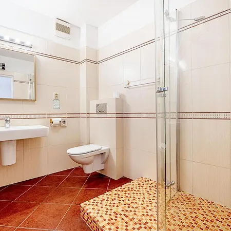 Hotel City Hotel Piest'any