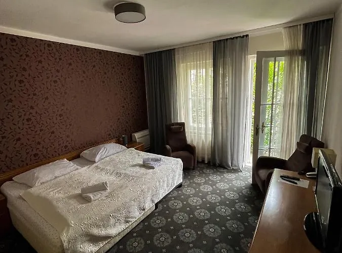 City Hotel 3* Piest'any